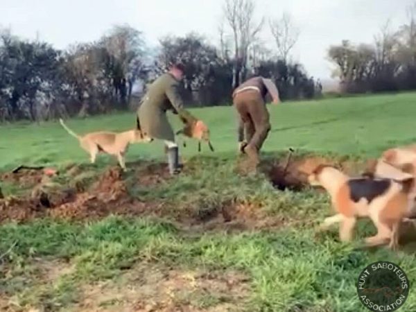 Avon Vale Hunt Suspended from the British Hounds Sports Association