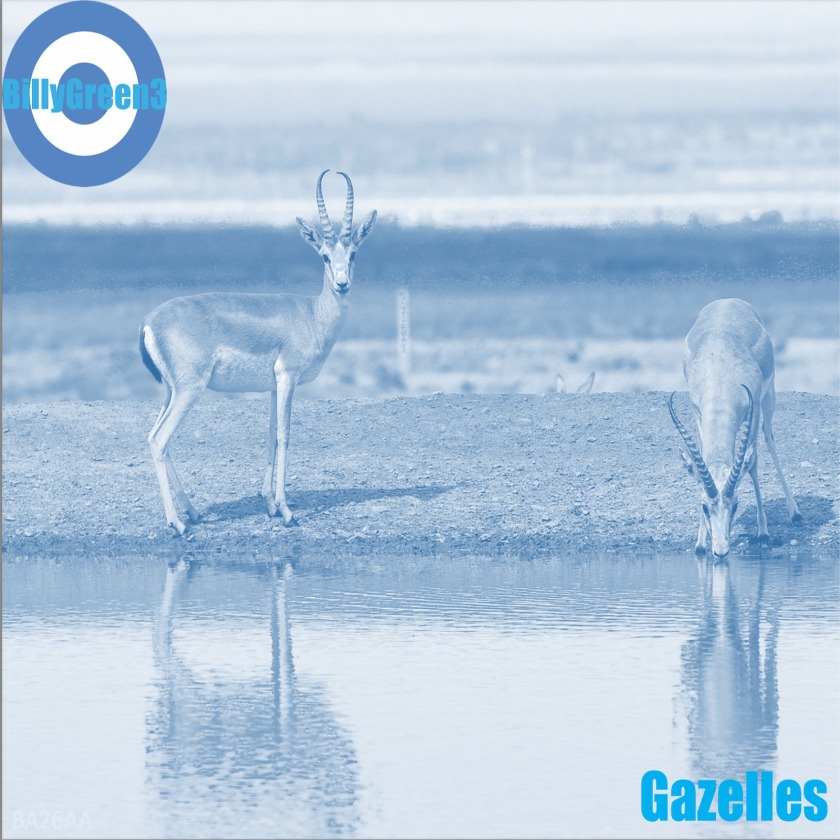 Gazelles: Follow-up Album from Billy Green 3