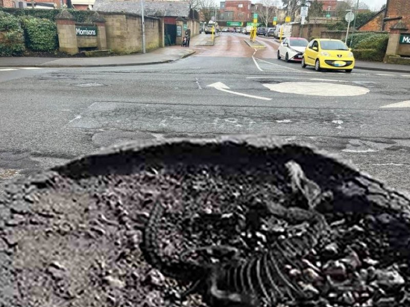 Devizes Road Resurfacing Plan Abolished Due to Dinosaur Fossil in Pothole